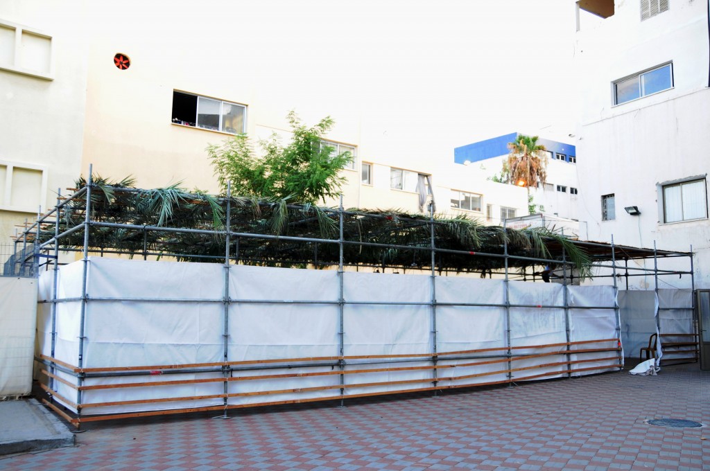 sukkot1