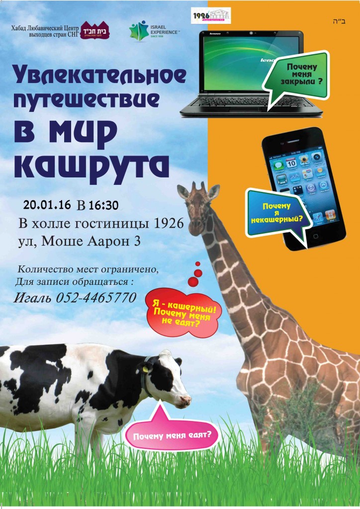Увлекательное путешествие в мир кашрута Увлекательное путешествие в мир кашрута